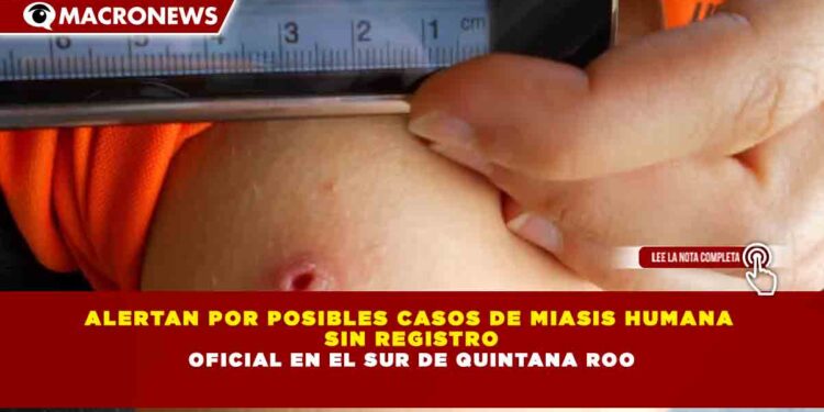 ALERTAN POR POSIBLES CASOS DE MIASIS HUMANA  SIN REGISTRO OFICIAL EN EL SUR DE QUINTANA ROO