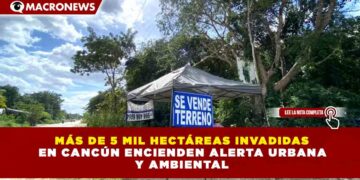 MÁS DE 5 MIL HECTÁREAS INVADIDAS  EN CANCÚN ENCIENDEN ALERTA URBANA  Y AMBIENTAL