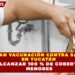 REFUERZAN VACUNACIÓN CONTRA SARAMPIÓN EN YUCATÁN PARA ALCANZAR 100 % DE COBERTURA EN MENORES