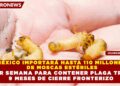 MÉXICO IMPORTARÁ HASTA 110 MILLONES DE MOSCAS ESTÉRILES POR SEMANA PARA CONTENER PLAGA TRAS 9 MESES DE CIERRE FRONTERIZO