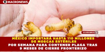 MÉXICO IMPORTARÁ HASTA 110 MILLONES DE MOSCAS ESTÉRILES POR SEMANA PARA CONTENER PLAGA TRAS 9 MESES DE CIERRE FRONTERIZO