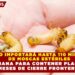 MÉXICO IMPORTARÁ HASTA 110 MILLONES DE MOSCAS ESTÉRILES POR SEMANA PARA CONTENER PLAGA TRAS 9 MESES DE CIERRE FRONTERIZO