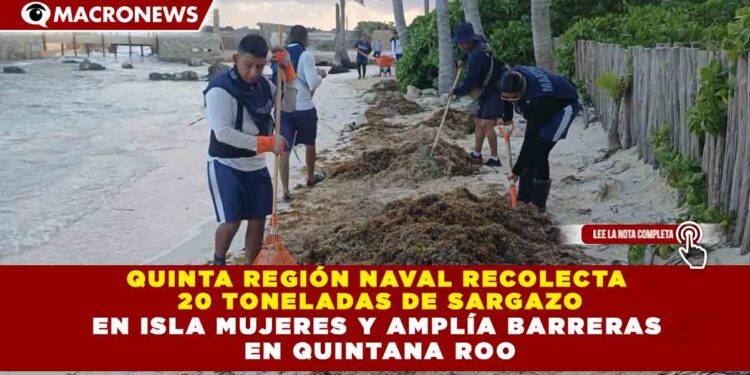 QUINTA REGIÓN NAVAL RECOLECTA  20 TONELADAS DE SARGAZO EN ISLA MUJERES Y AMPLÍA BARRERAS  EN QUINTANA ROO