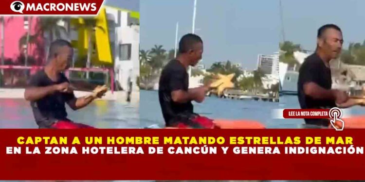 CAPTAN A UN HOMBRE MATANDO ESTRELLAS DE MAR EN LA ZONA HOTELERA DE CANCÚN Y GENERA INDIGNACIÓN