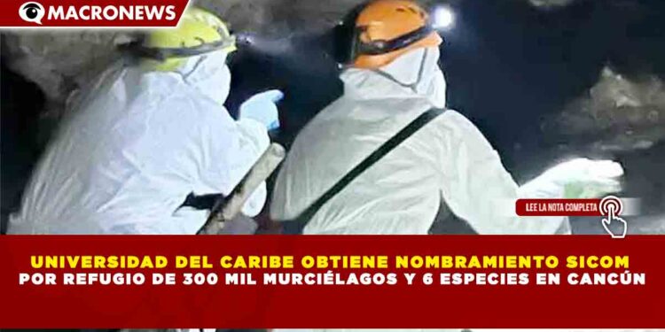 UNIVERSIDAD DEL CARIBE OBTIENE NOMBRAMIENTO SICOM  POR REFUGIO DE 300 MIL MURCIÉLAGOS Y 6 ESPECIES EN CANCÚN