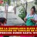 DÍA DE LA CANDELARIA ELEVA 100%  LA PRODUCCIÓN DE TAMALES EN CANCÚN; PRECIOS SUBEN HASTA 15%