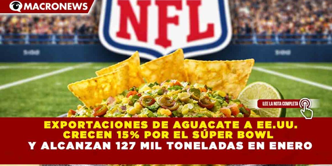 EXPORTACIONES DE AGUACATE A EE.UU.  CRECEN 15% POR EL SÚPER BOWL  Y ALCANZAN 127 MIL TONELADAS EN ENERO