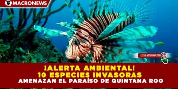¡ALERTA AMBIENTAL! 10 ESPECIES INVASORAS AMENAZAN EL PARAÍSO DE QUINTANA ROO