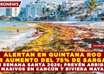 ALERTAN EN QUINTANA ROO POR AUMENTO DEL 75% DE SARGAZO EN SEMANA SANTA 2026; PREVÉN ARRIBOS MASIVOS EN CANCÚN Y RIVIERA MAYA