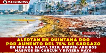ALERTAN EN QUINTANA ROO POR AUMENTO DEL 75% DE SARGAZO EN SEMANA SANTA 2026; PREVÉN ARRIBOS MASIVOS EN CANCÚN Y RIVIERA MAYA