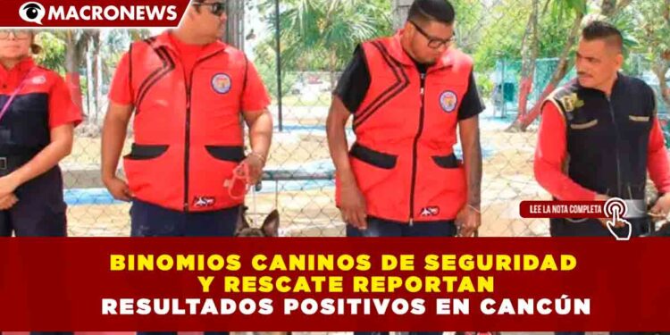 BINOMIOS CANINOS DE SEGURIDAD Y RESCATE REPORTAN RESULTADOS POSITIVOS EN CANCÚN