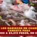 SUBEN 14% LOS MARISCOS EN CUARESMA 2026: CANASTA PASA DE $2,906 A $3,313 PESOS, EN CANCÚN