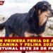ANUNCIAN PRIMERA FERIA DE ADOPCIÓN CANINA Y FELINA 2026 EN CHETUMAL ESTE 28 DE FEBRERO