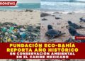 FUNDACIÓN ECO-BAHÍA REPORTA AÑO HISTÓRICO EN CONSERVACIÓN AMBIENTAL EN EL CARIBE MEXICANO