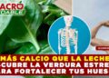 ¿MÁS CALCIO QUE LA LECHE? DESCUBRE LA VERDURA ESTRELLA PARA FORTALECER TUS HUESOS