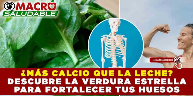 ¿MÁS CALCIO QUE LA LECHE? DESCUBRE LA VERDURA ESTRELLA PARA FORTALECER TUS HUESOS