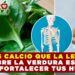 ¿MÁS CALCIO QUE LA LECHE? DESCUBRE LA VERDURA ESTRELLA PARA FORTALECER TUS HUESOS