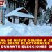TEMPORAL DE NIEVE OBLIGA A CERRAR COLEGIOS ELECTORALES EN JAPÓN DURANTE ELECCIONES GENERALES