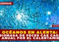OCÉANOS EN ALERTA: LA BIOMASA DE PECES CAE CASI UN 20% ANUAL POR EL CALENTAMIENTO