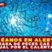 OCÉANOS EN ALERTA: LA BIOMASA DE PECES CAE CASI UN 20% ANUAL POR EL CALENTAMIENTO