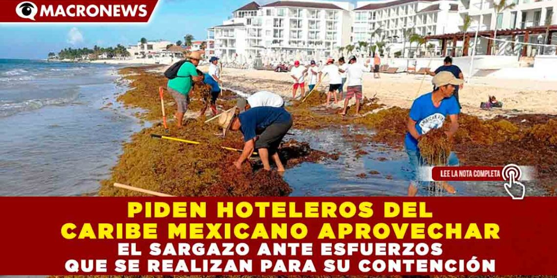 PIDEN HOTELEROS DEL CARIBE MEXICANO APROVECHAR EL SARGAZO ANTE ESFUERZOS QUE SE REALIZAN PARA SU CONTENCIÓN