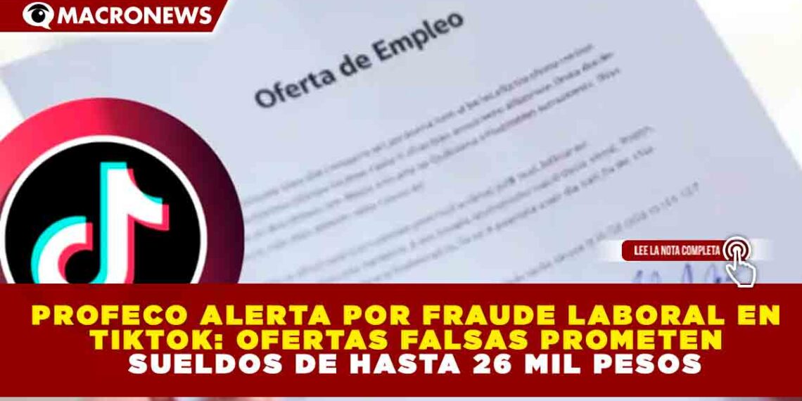 PROFECO ALERTA POR FRAUDE LABORAL EN TIKTOK: OFERTAS FALSAS PROMETEN SUELDOS DE HASTA 26 MIL PESOS