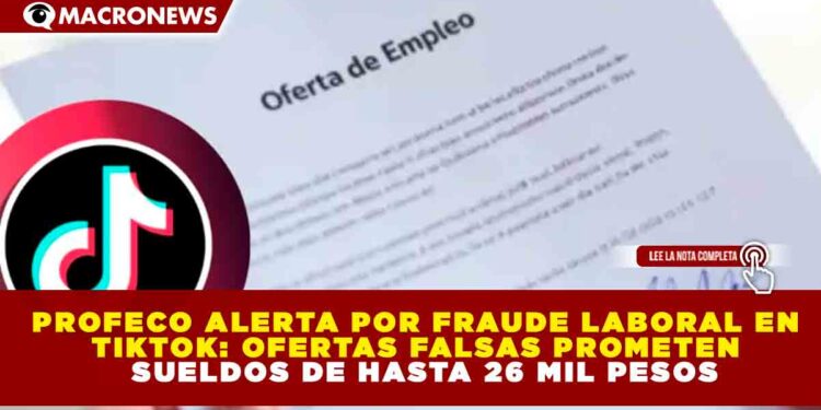 PROFECO ALERTA POR FRAUDE LABORAL EN TIKTOK: OFERTAS FALSAS PROMETEN SUELDOS DE HASTA 26 MIL PESOS