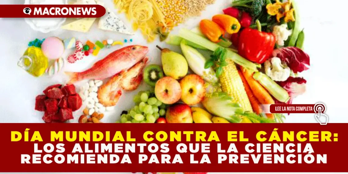 DÍA MUNDIAL CONTRA EL CÁNCER: LOS ALIMENTOS QUE LA CIENCIA RECOMIENDA PARA LA PREVENCIÓN