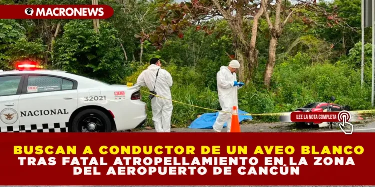 BUSCAN A CONDUCTOR DE UN AVEO BLANCO TRAS FATAL ATROPELLAMIENTO EN LA ZONA DEL AEROPUERTO DE CANCÚN