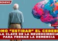 ¿CÓMO «ESTIRAR» EL CEREBRO? LA CLAVE DE LA NEUROCIENCIA PARA FRENAR LA DEMENCIA