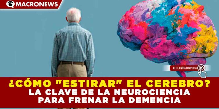 ¿CÓMO «ESTIRAR» EL CEREBRO? LA CLAVE DE LA NEUROCIENCIA PARA FRENAR LA DEMENCIA