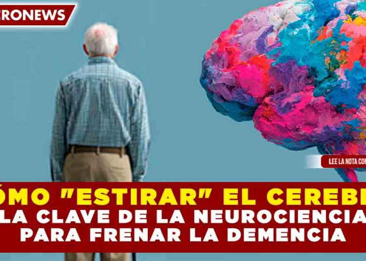 ¿CÓMO «ESTIRAR» EL CEREBRO? LA CLAVE DE LA NEUROCIENCIA PARA FRENAR LA DEMENCIA