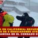 TRAGEDIA EN CALIFORNIA: RECUPERAN LOS CUERPOS DE 9 ESQUIADORES ATRAPADOS POR AVALANCHA EN EL CONDADO DE NEVADA