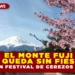 EL MONTE FUJI SE QUEDA SIN FIESTA: CANCELAN FESTIVAL DE CEREZOS EN JAPÓN
