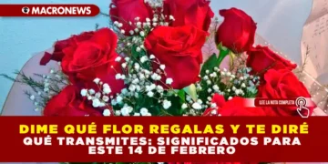 DIME QUÉ FLOR REGALAS Y TE DIRÉ QUÉ TRANSMITES: SIGNIFICADOS PARA ESTE 14 DE FEBRERO