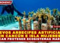 NUEVOS ARRECIFES ARTIFICIALES EN CANCÚN E ISLA MUJERES: BUSCAN PROTEGER ECOSISTEMAS MARINOS
