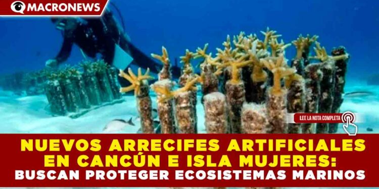 NUEVOS ARRECIFES ARTIFICIALES EN CANCÚN E ISLA MUJERES: BUSCAN PROTEGER ECOSISTEMAS MARINOS
