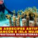 NUEVOS ARRECIFES ARTIFICIALES EN CANCÚN E ISLA MUJERES: BUSCAN PROTEGER ECOSISTEMAS MARINOS