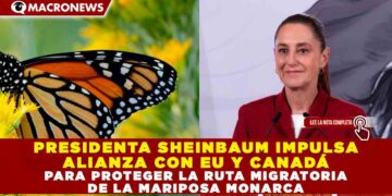PRESIDENTA SHEINBAUM IMPULSA ALIANZA CON EU Y CANADÁ PARA PROTEGER LA RUTA MIGRATORIA DE LA MARIPOSA MONARCA