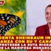 PRESIDENTA SHEINBAUM IMPULSA ALIANZA CON EU Y CANADÁ PARA PROTEGER LA RUTA MIGRATORIA DE LA MARIPOSA MONARCA