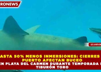 HASTA 50% MENOS INMERSIONES: CIERRES DE PUERTO AFECTAN BUCEO EN PLAYA DEL CARMEN DURANTE TEMPORADA DE TIBURÓN TORO