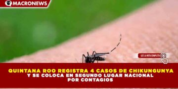 QUINTANA ROO REGISTRA 4 CASOS DE CHIKUNGUNYA Y SE COLOCA EN SEGUNDO LUGAR NACIONAL POR CONTAGIOS