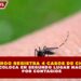 QUINTANA ROO REGISTRA 4 CASOS DE CHIKUNGUNYA Y SE COLOCA EN SEGUNDO LUGAR NACIONAL POR CONTAGIOS