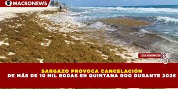 SARGAZO PROVOCA CANCELACIÓN DE MÁS DE 10 MIL BODAS EN QUINTANA ROO DURANTE 2026