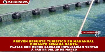 PREVÉN REPUNTE TURÍSTICO EN MAHAHUAL DURANTE SEMANA SANTA: PLAYAS CON MENOS SARGAZO IMPULSARÍAN VENTAS A PARTIR DEL 29 DE MARZO