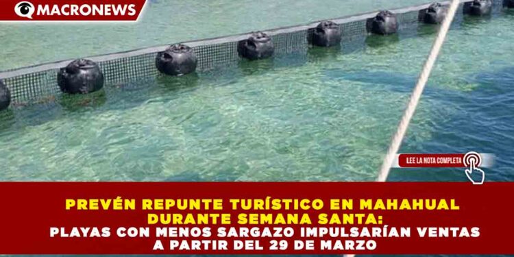 PREVÉN REPUNTE TURÍSTICO EN MAHAHUAL DURANTE SEMANA SANTA: PLAYAS CON MENOS SARGAZO IMPULSARÍAN VENTAS A PARTIR DEL 29 DE MARZO