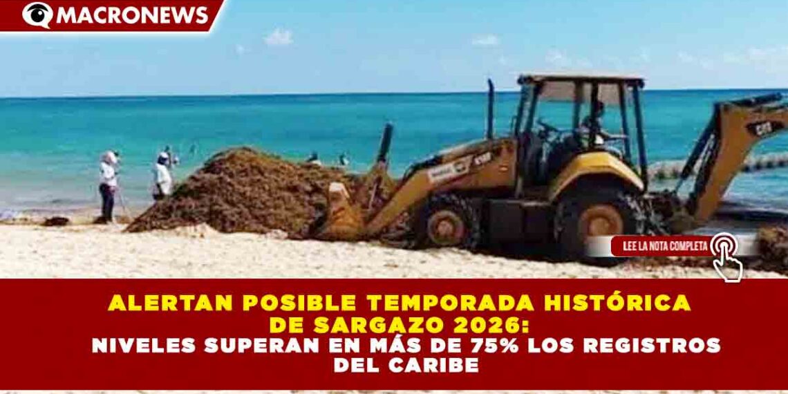ALERTAN POSIBLE TEMPORADA HISTÓRICA  DE SARGAZO 2026:   NIVELES SUPERAN EN MÁS DE 75% LOS REGISTROS  DEL CARIBE