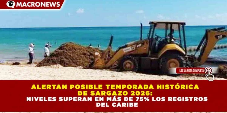 ALERTAN POSIBLE TEMPORADA HISTÓRICA DE SARGAZO 2026: NIVELES SUPERAN EN MÁS DE 75% LOS REGISTROS DEL CARIBE