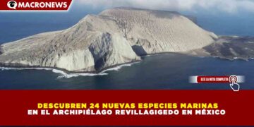 DESCUBREN 24 NUEVAS ESPECIES MARINAS EN EL ARCHIPIÉLAGO REVILLAGIGEDO EN MÉXICO