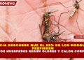 CIENCIA DESCUBRE QUE EL 85% DE LOS MOSQUITOS PREFIEREN CIERTOS HUESPEDES SEGÚN OLORES Y CALOR CORPORAL